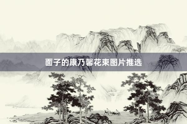 面子的康乃馨花束图片推选