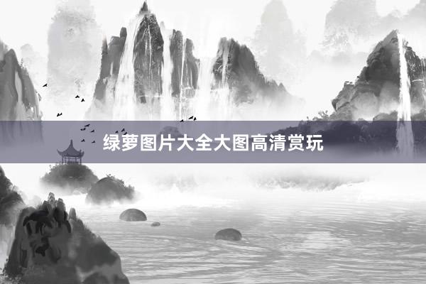 绿萝图片大全大图高清赏玩