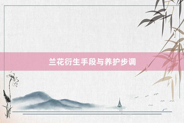 兰花衍生手段与养护步调