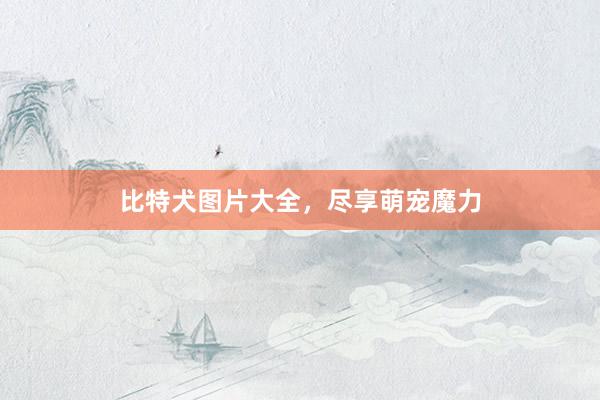 比特犬图片大全,尽享萌宠魔力