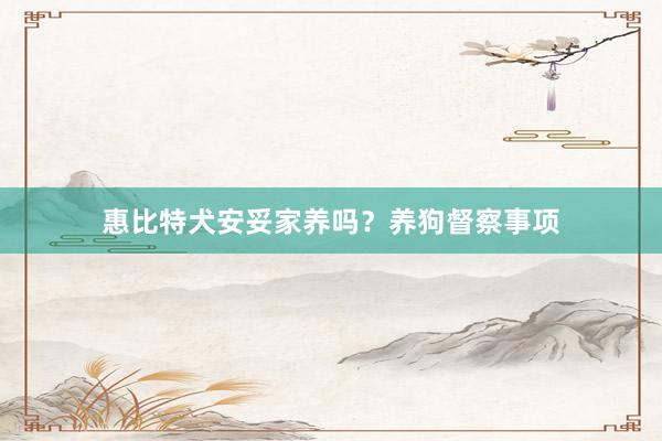 惠比特犬安妥家养吗?养狗督察事项
