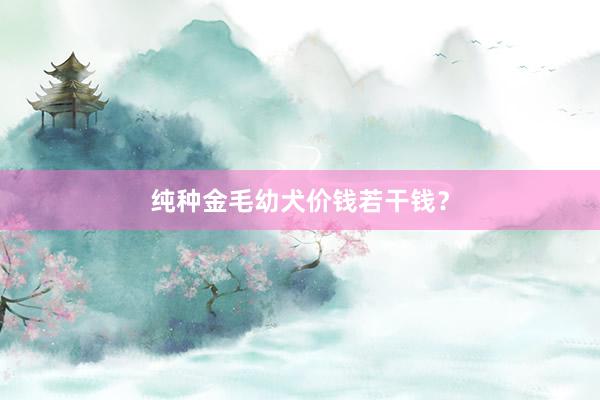纯种金毛幼犬价钱若干钱？