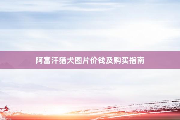 阿富汗猎犬图片价钱及购买指南